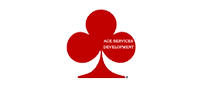 ACE SERVICES DEVELOPMENT & CONSULTING LTD