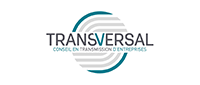 TRANSVERSAL CONSULTING
