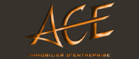 ACE IMMOBILIER D'ENTREPRISE