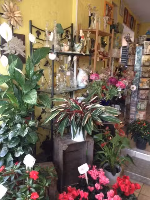 Vend FDC fleurs coeur bourg dynamique en expansion