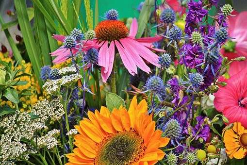 Vente fonds de commerce de fleurs dans la Manche