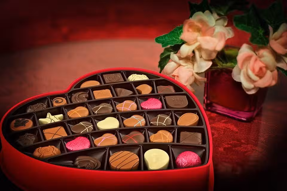 Vente chocolaterie de renom franchise Cotentin
