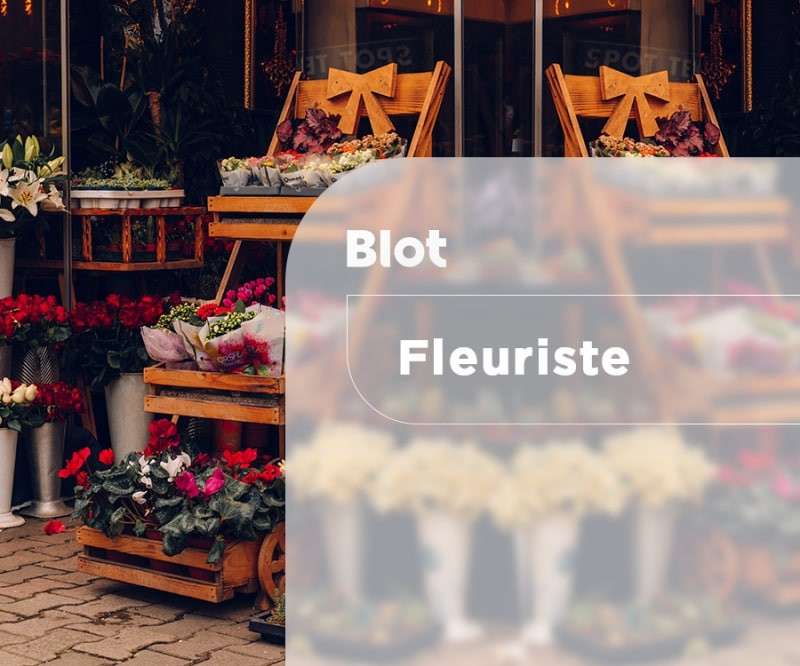 A vendre FDC fleuriste dans le Finistère (29)