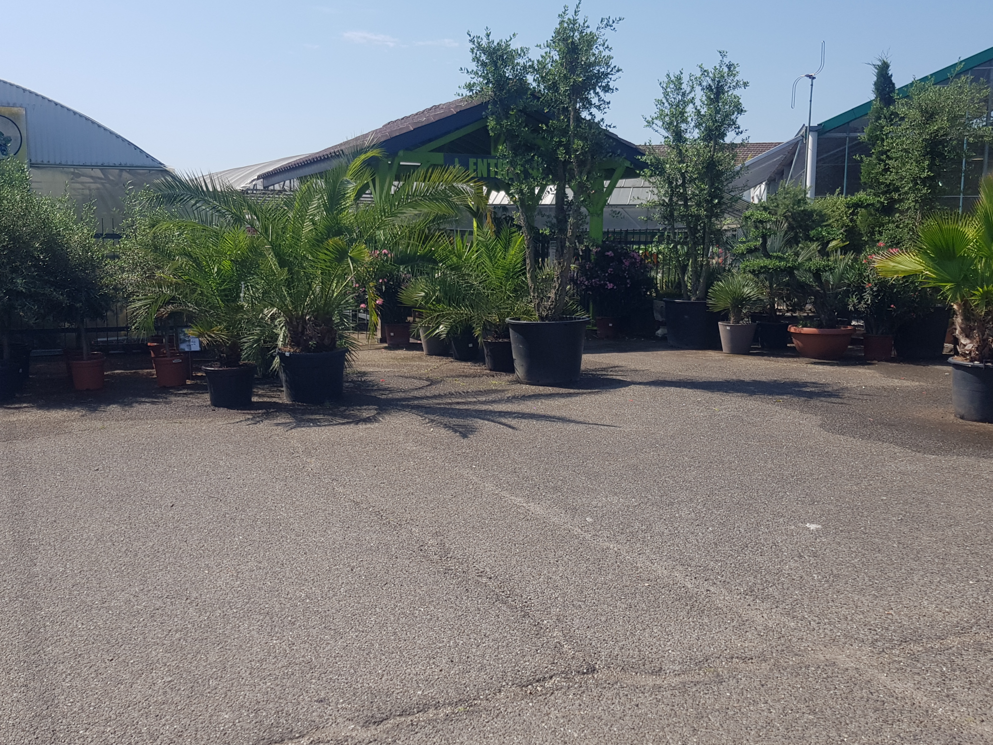 Vente sociétés jardinerie et pépinière dans le 47