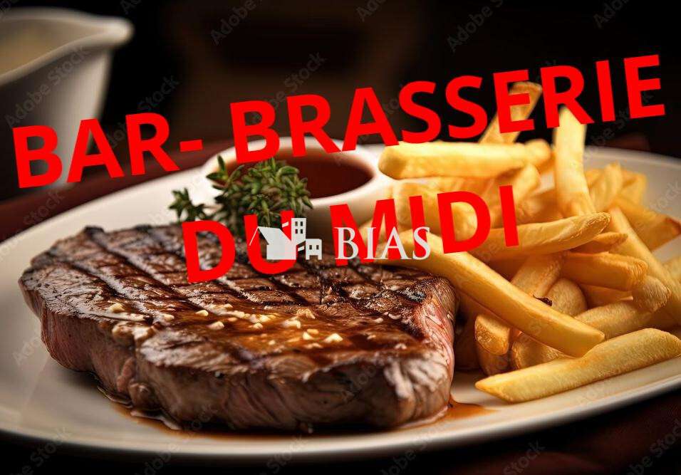 Vend brasserie du midi terrasse centre ville 76
