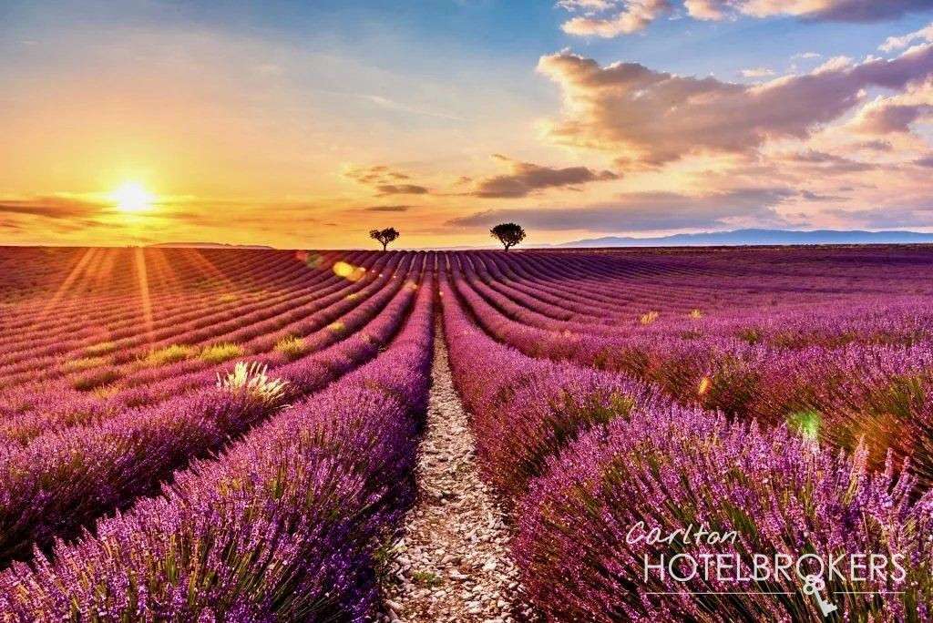 Vente boutique hôtel & SPA en Provence