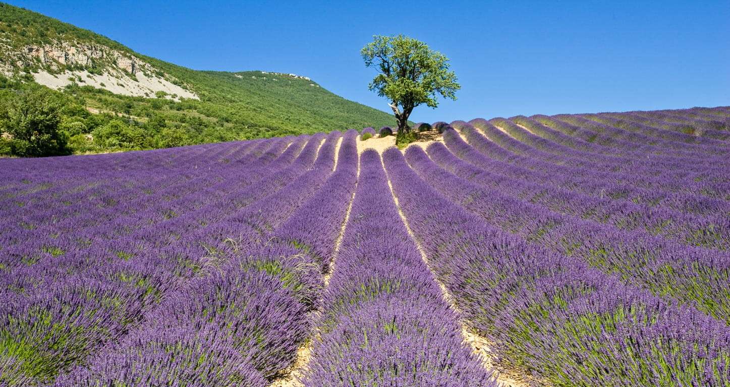 Vente maison dhôtes dans la Drôme Provençale