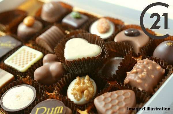 Vente chocolatier pâtisserie salon thé glacier 66