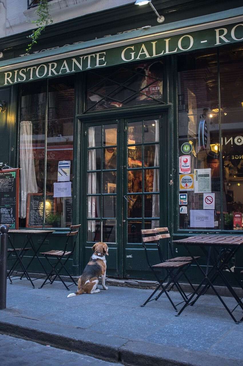 Vente restaurant à deux pas de Disneyland Paris