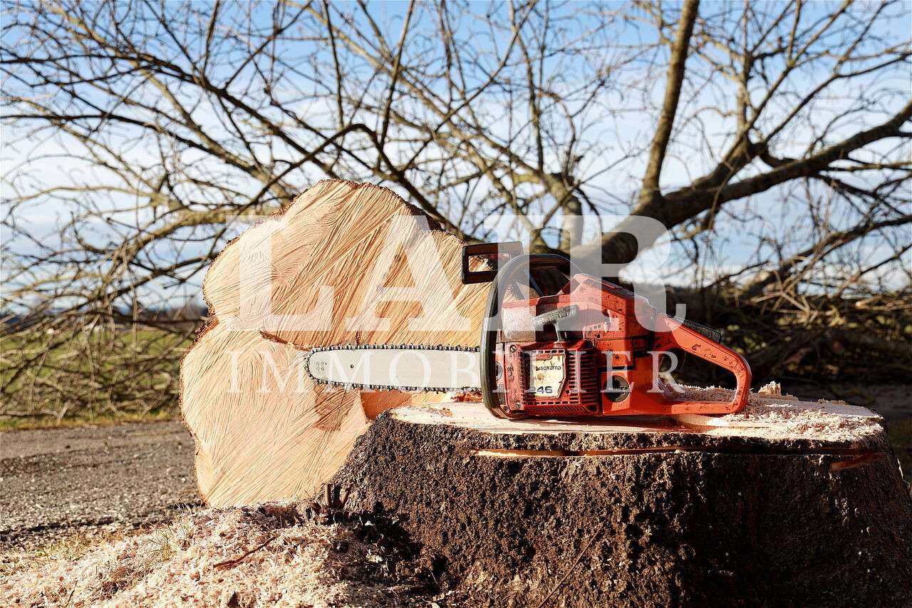 A vendre société élagage chantier technique Oise