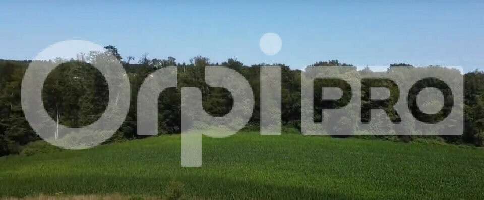 Vente magnifique propriété sur 632ha à Limoges