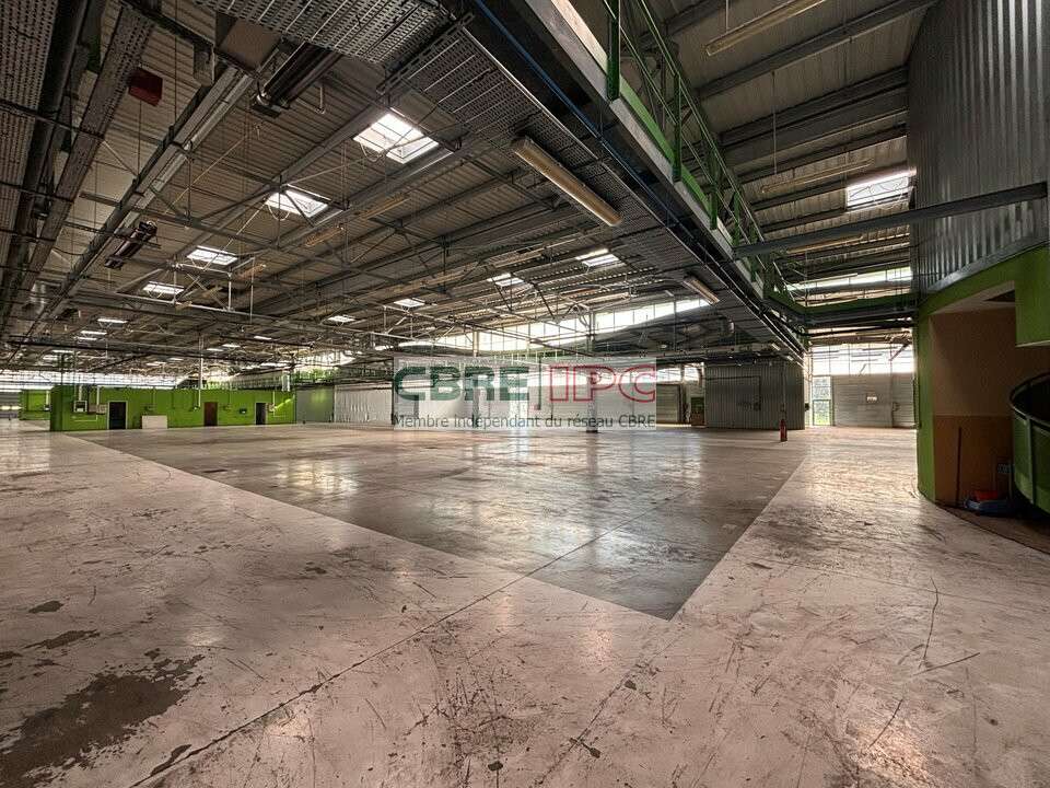 Vente entrepôt  7912m² à Lons Technord