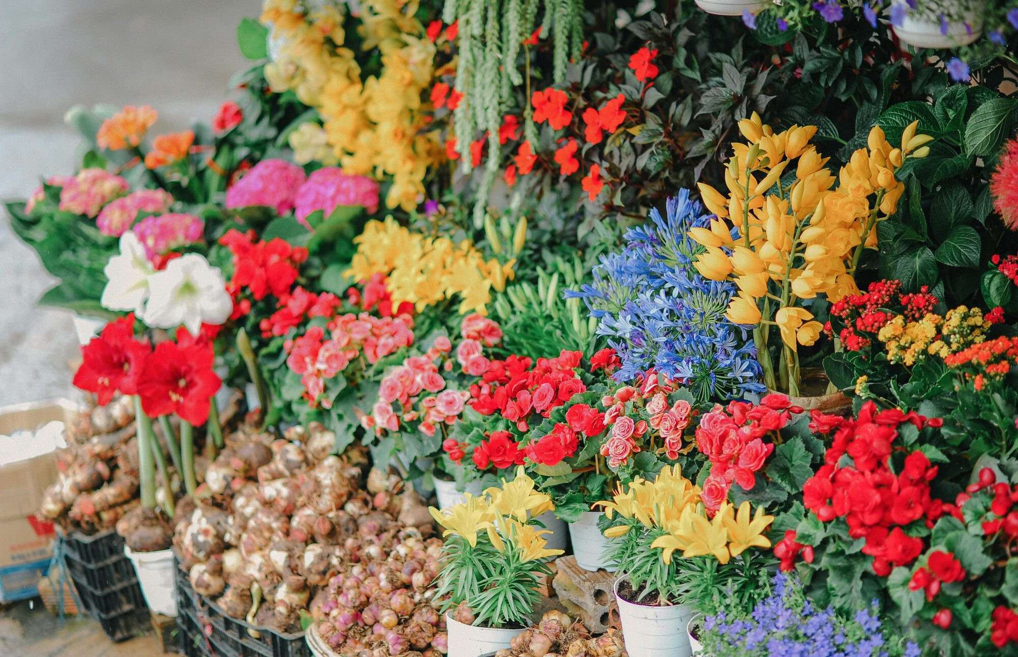 Cède FDC fleurs bon chiffre d'affaire à Lyon Est