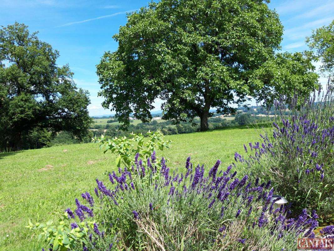 Vente gîte rénové sur axe Limoges Brives