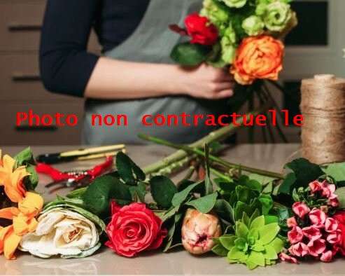 A vendre FDC fleurs Aix-les-Bains emplacement N°1