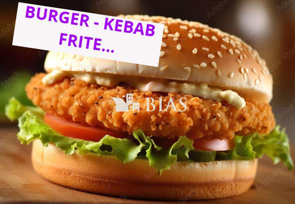 AV restauration rapide-pizza-kebab 76