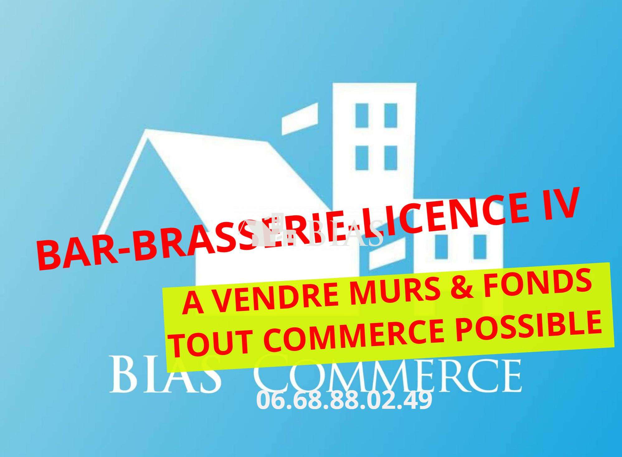 Vente murs et fonds brasserie bar licence IV - 76