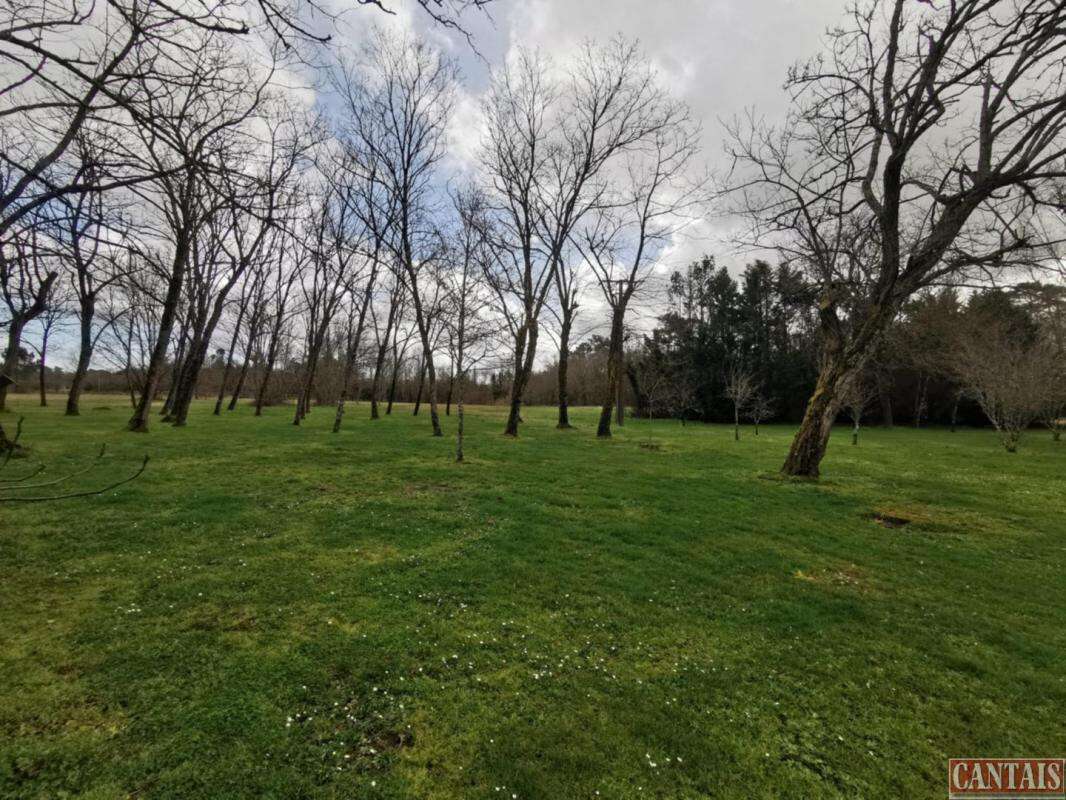 Vente grand domaine cadre naturel d'exception 33