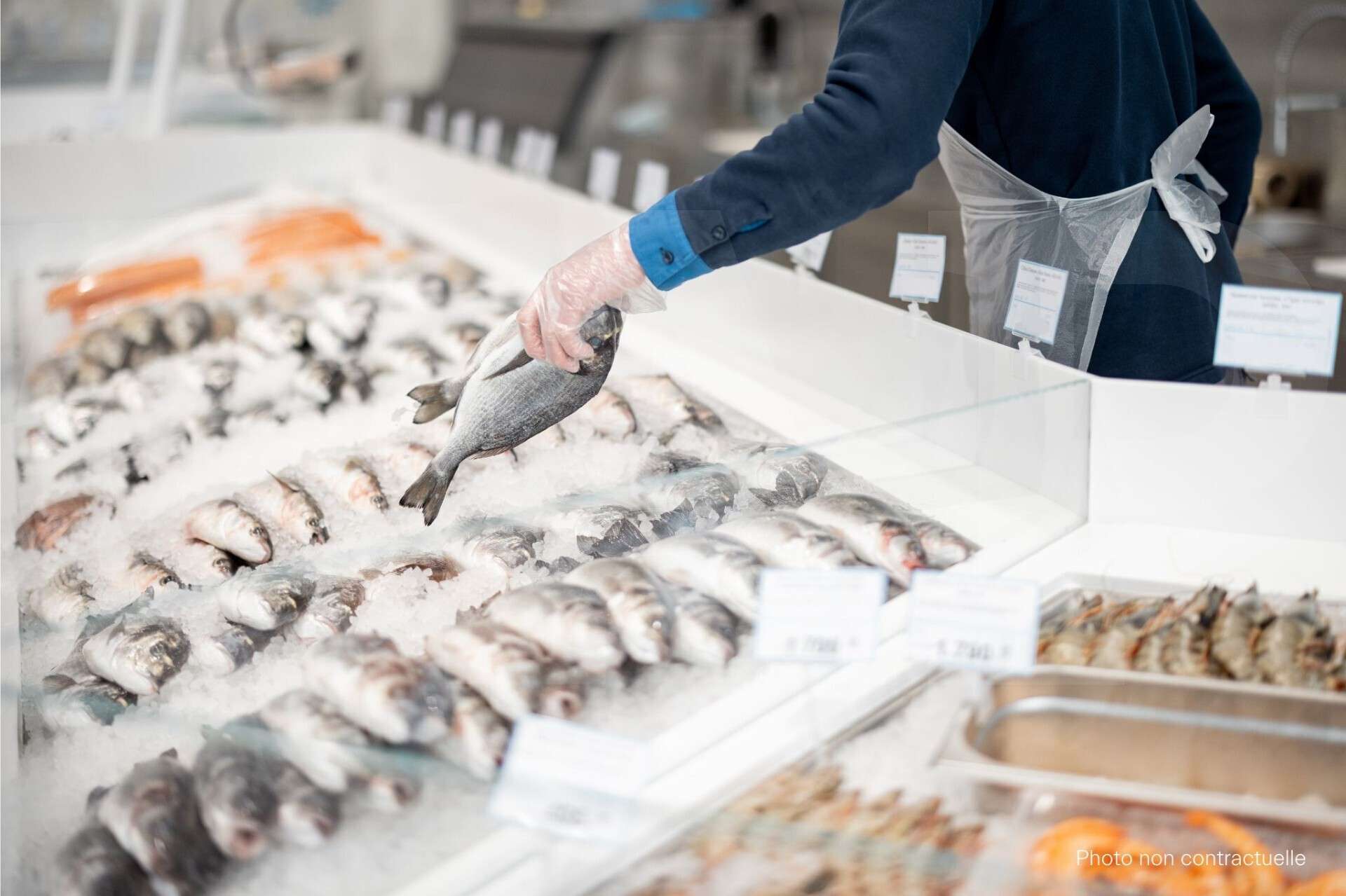 A vendre fonds de commerce poissonnerie à Rennes
