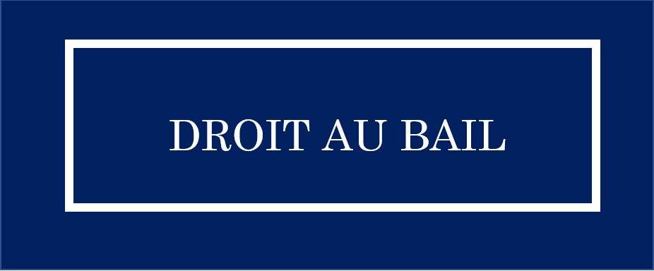 DAB local commercial 36m² à Vienne