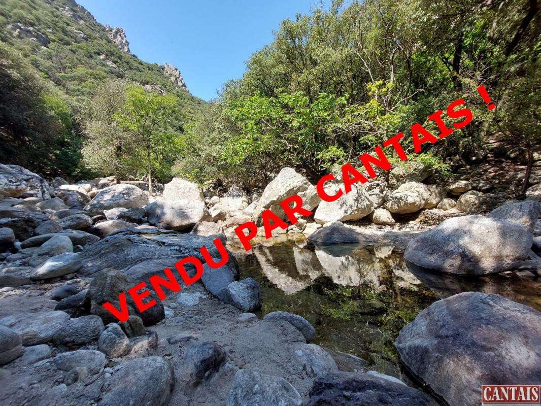 Vente gîte à 700m d'altitude Languedoc Roussillon