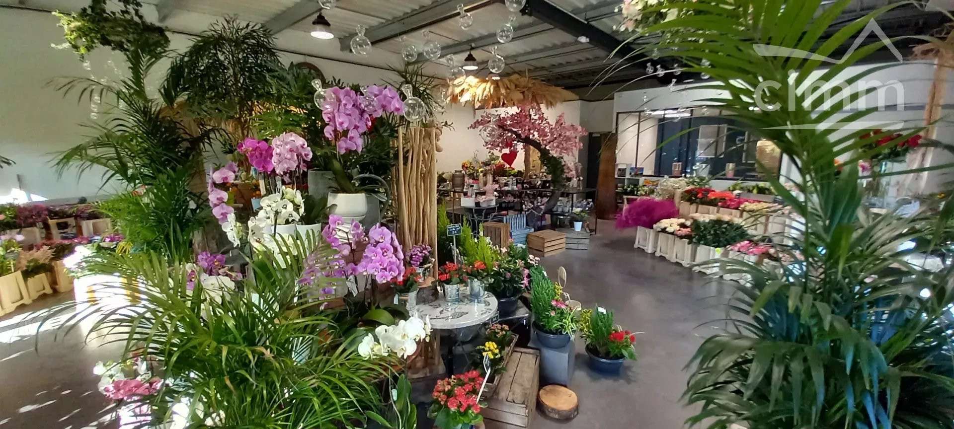 A vendre fonds de commerce fleurs à Blois