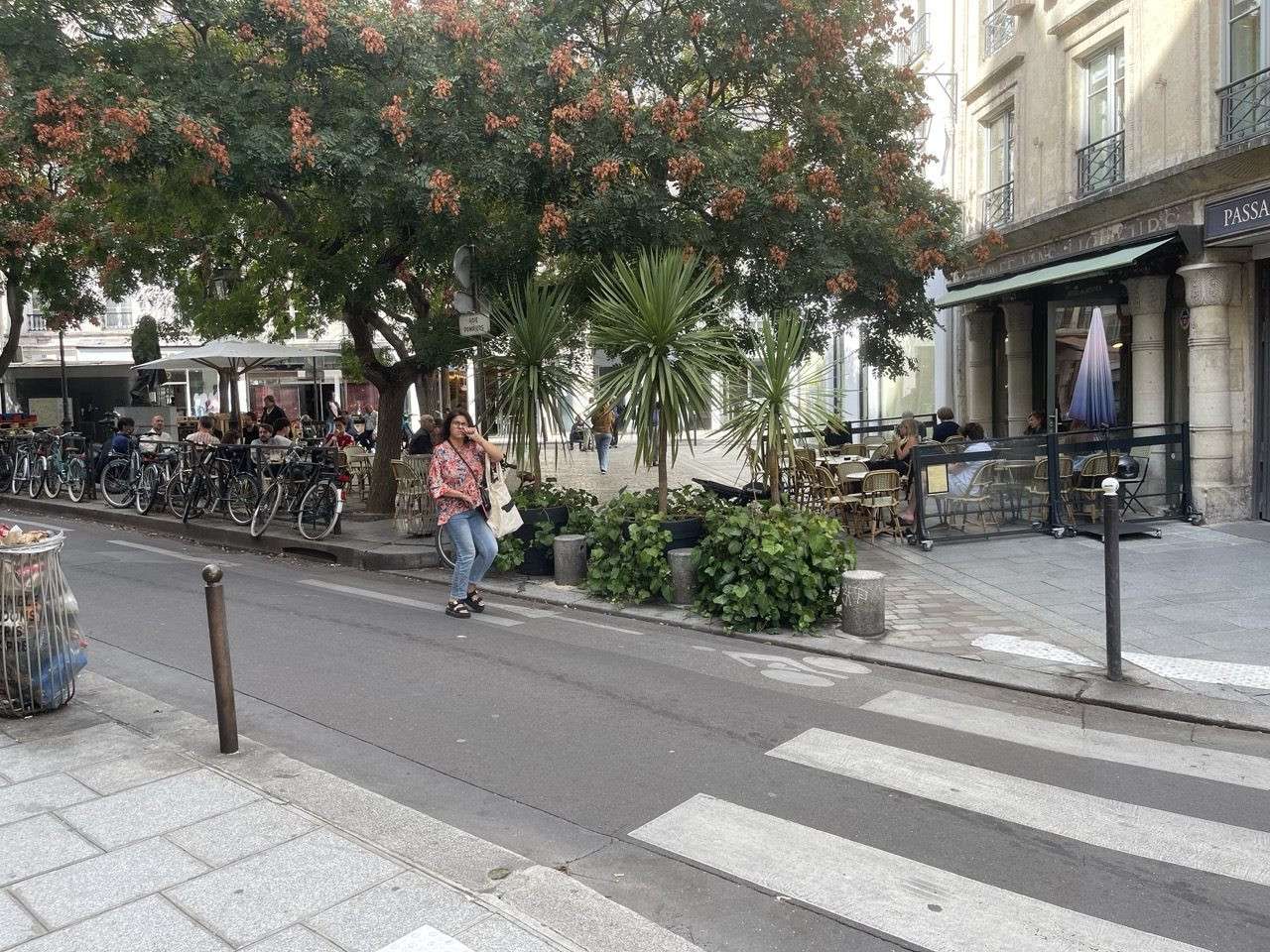 AV bar lic IV 36 cvts + 10 en terr + extract Paris