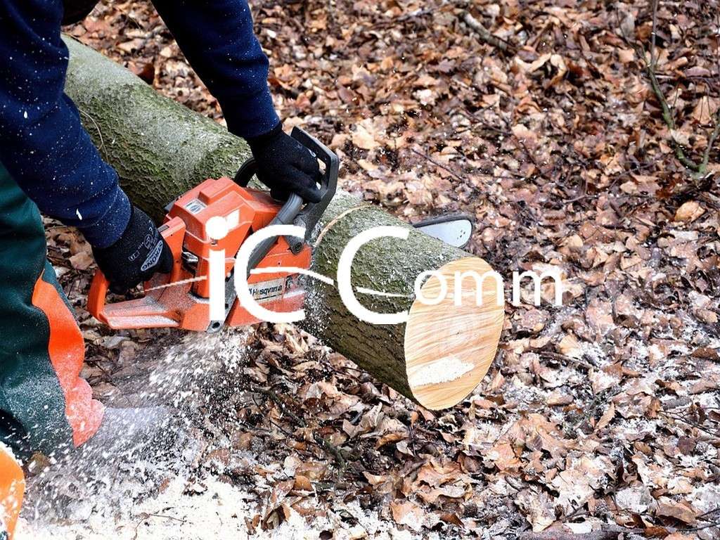 Vente fonds artisanal découpe et négoce de bois 05