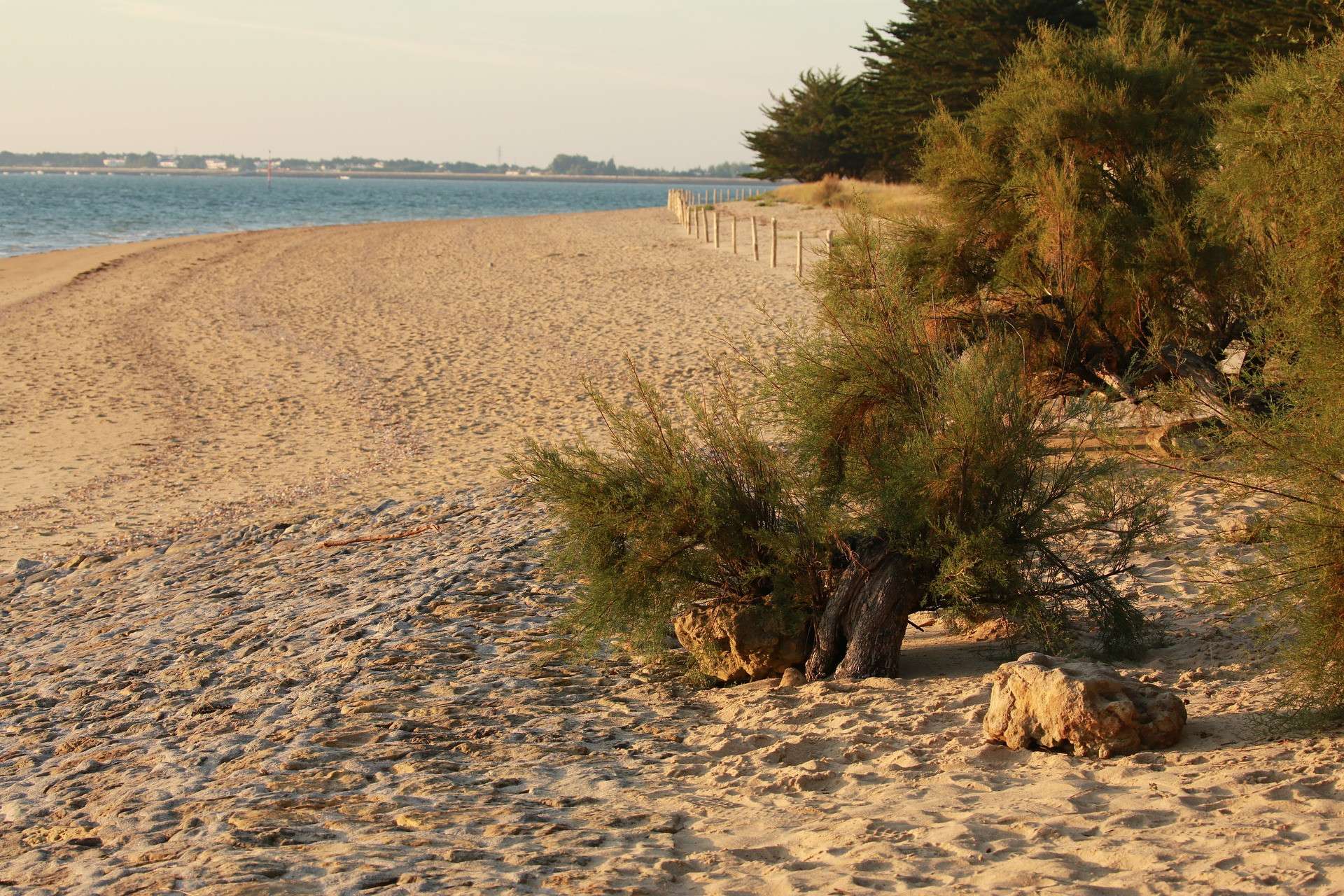 Camping 4 **** à vendre en rétro-littoral !