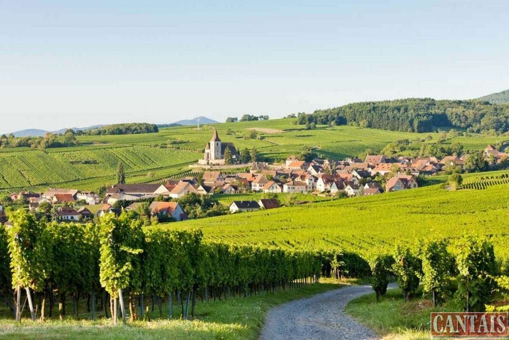 Vente hôtel restaurant rénové dept Haut Rhin