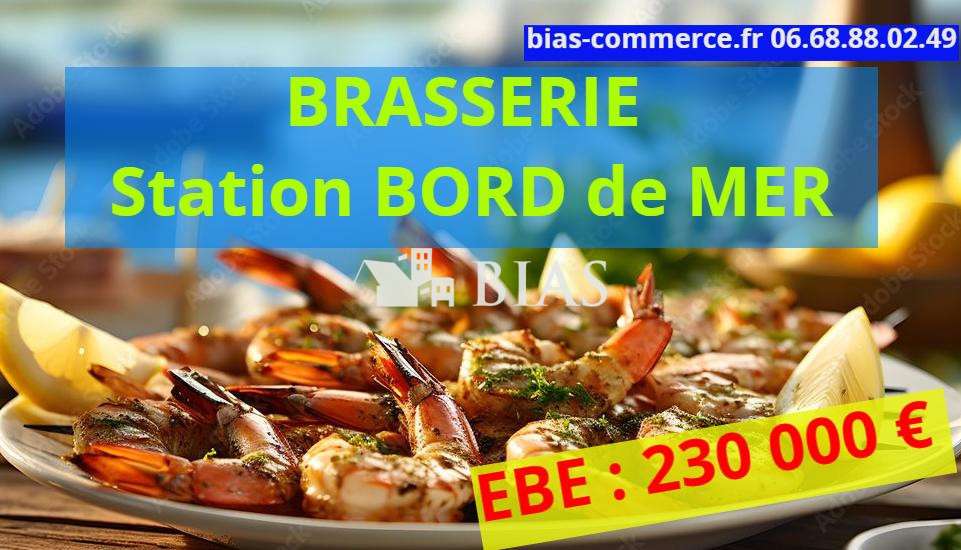 A vendre brasserie en station bord de mer dept 76