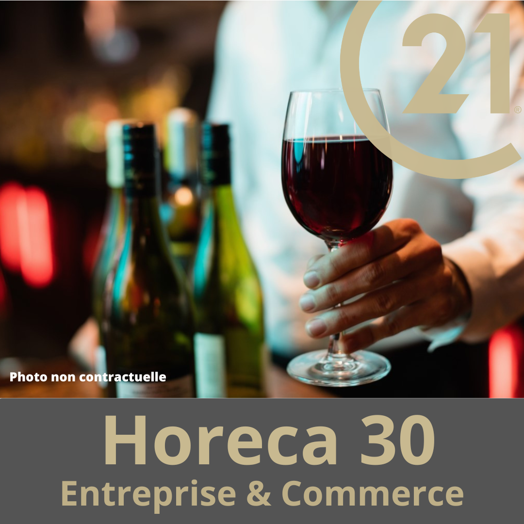 Vente restaurant + murs 500m² prox St Remy de Pce