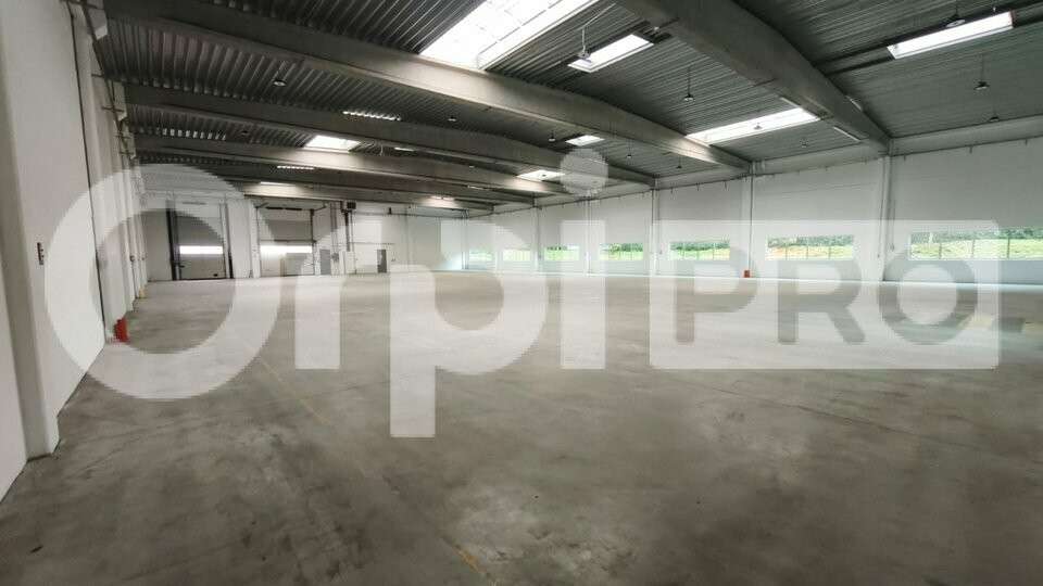 Bâtiment logistique 3980m² à louer Chilly-Mazarin