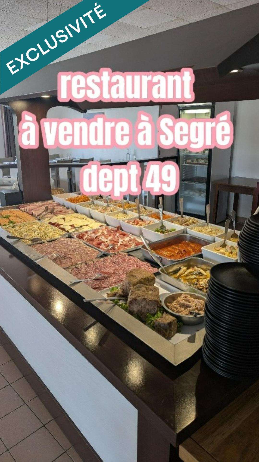 Vente restaurant d'envergure à Segré-en-Anjou Bleu