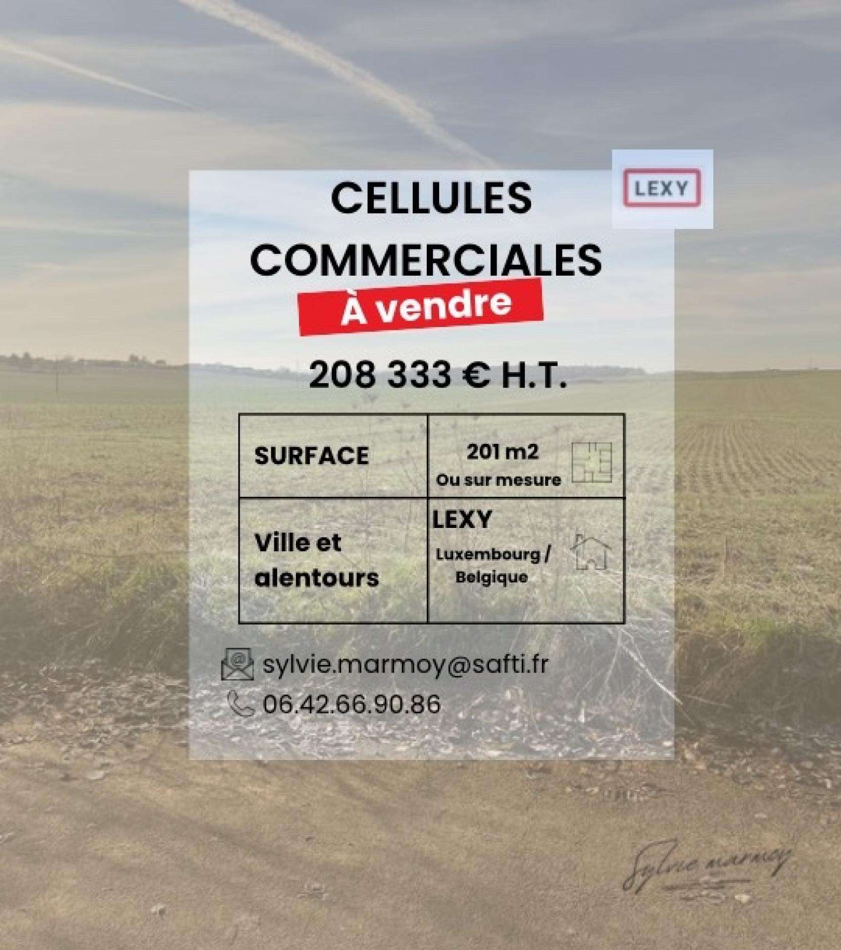 Vente local neuf emplacement stratégique à Lexy
