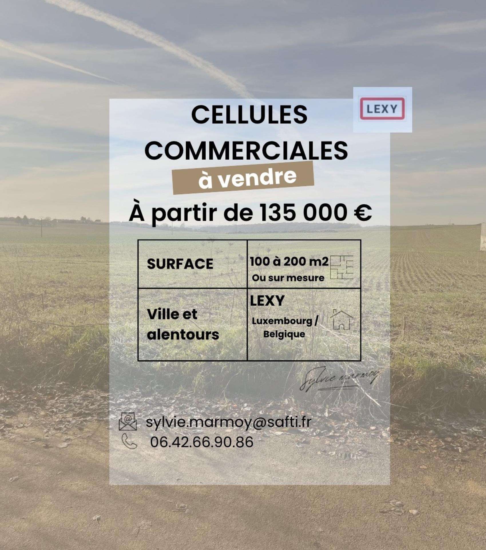 Vente cellule commerciale sur 4230m² à Lexy