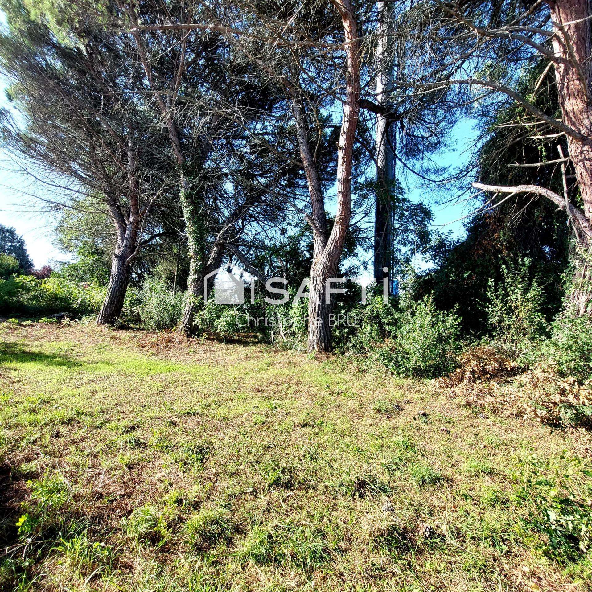 Vente local à rénover 150m² à Castanet-Tolosan