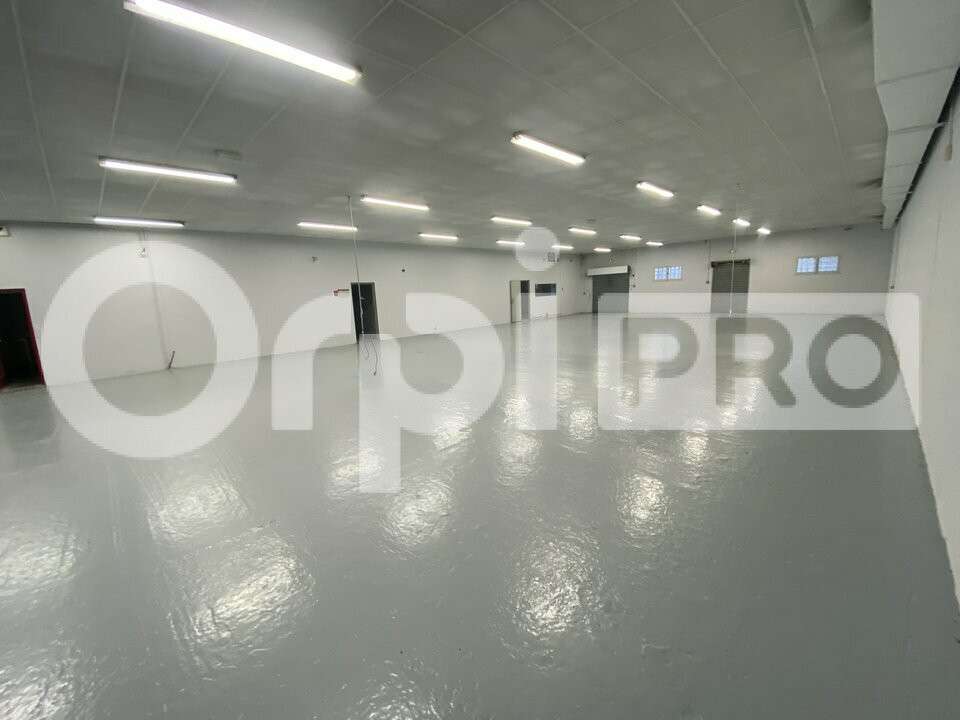 AV locaux d'activité 1180m² à Verdun-sur-Garonne