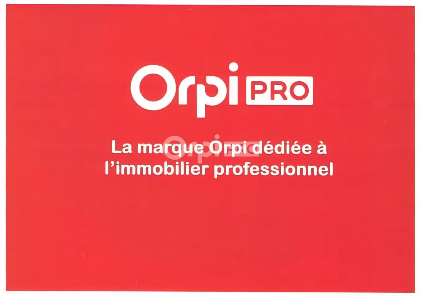 Rapport locatif local professionnel Brive Cabanis