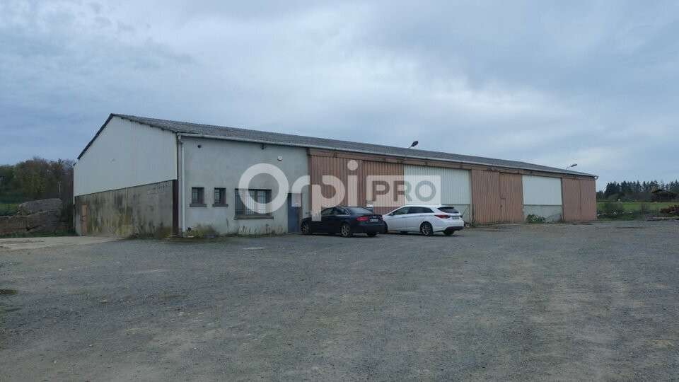 Opportunité investisseur à Sougy-sur-Loire