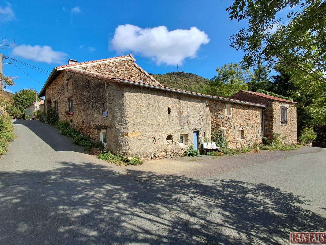 Vente maison chambres d'hôtes dept Hérault