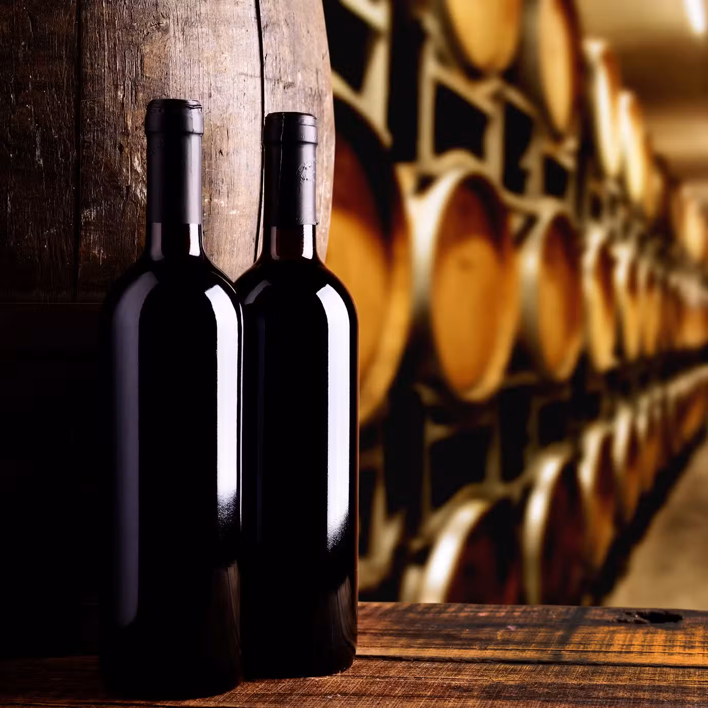 AV cave à vins clientèle internationale à Paris 2