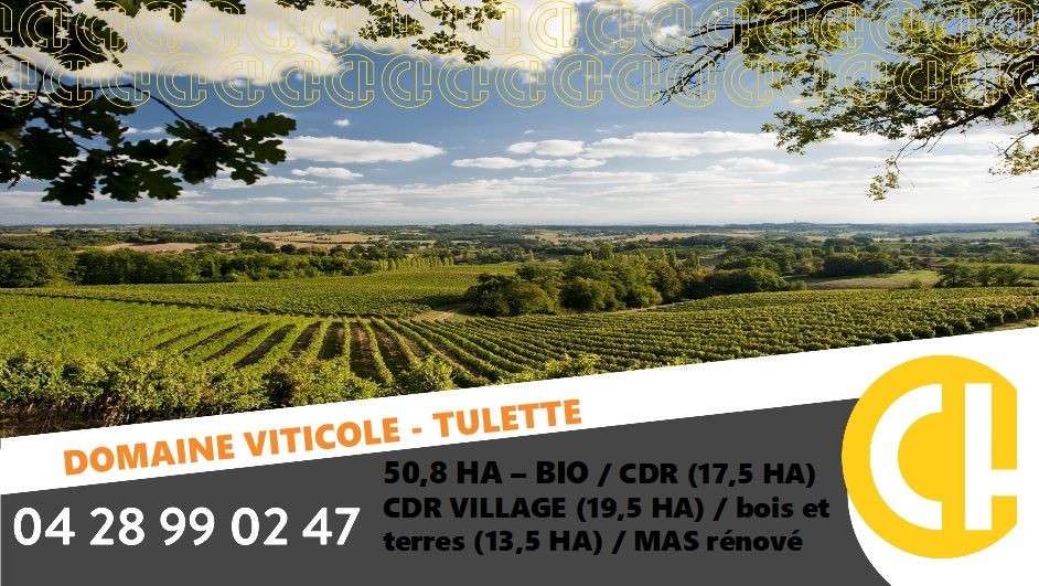Vente domaine viticole 20.8 ha à Visan Tulette