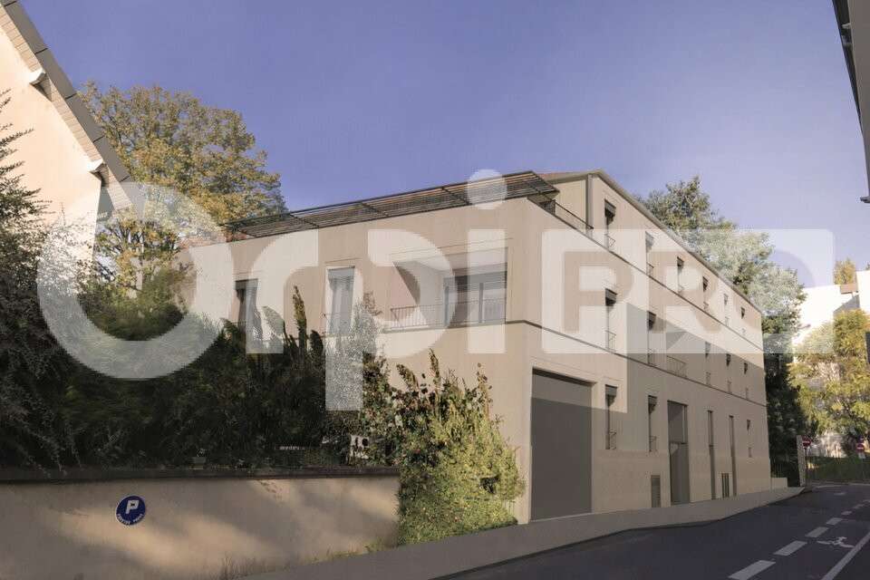 A vendre 4 pièces rez de jardin Neuville sur Saône