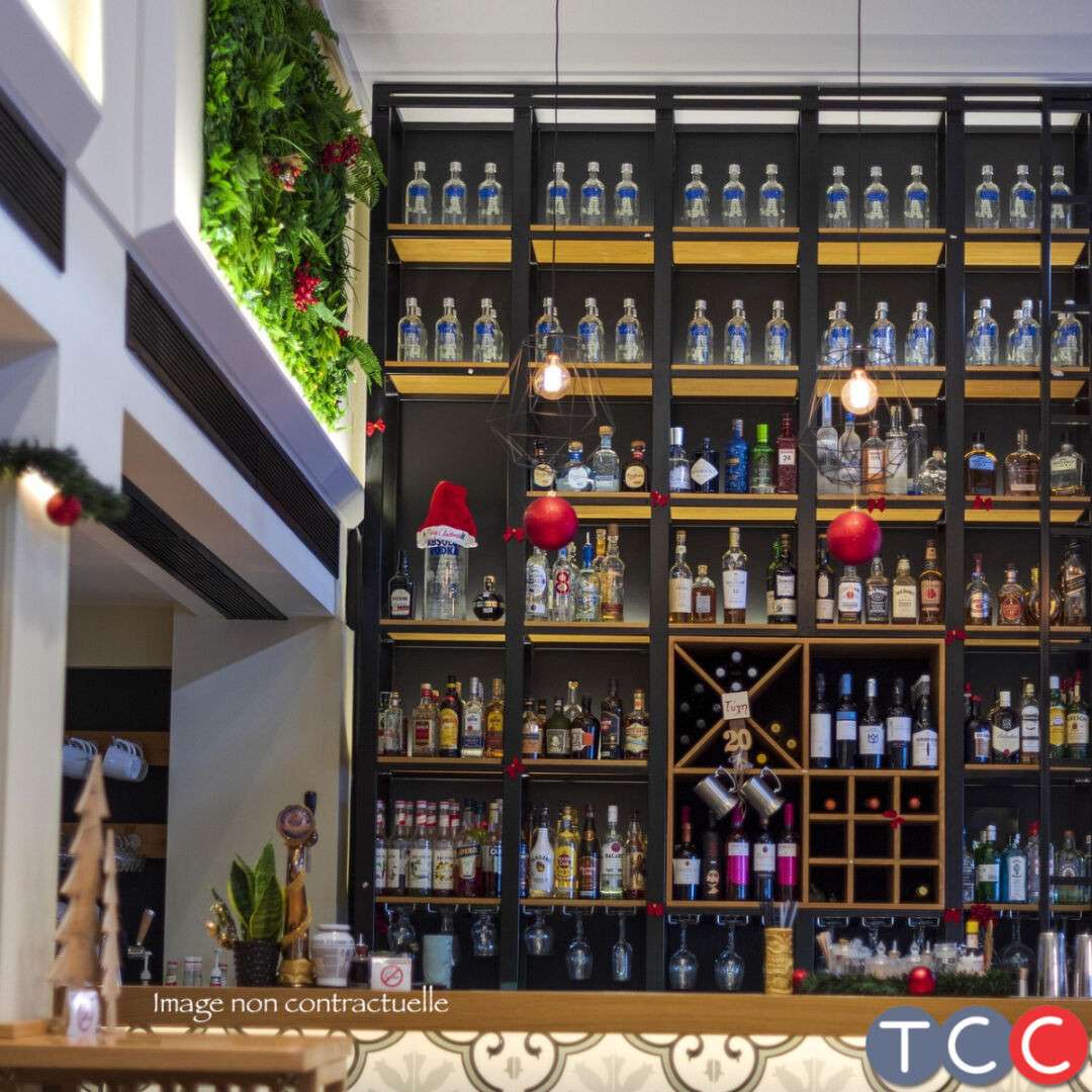 Vente bar brasserie lic IV rénové à Albi centre