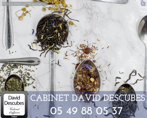 A vendre salon de thé & accessoires à Poitiers