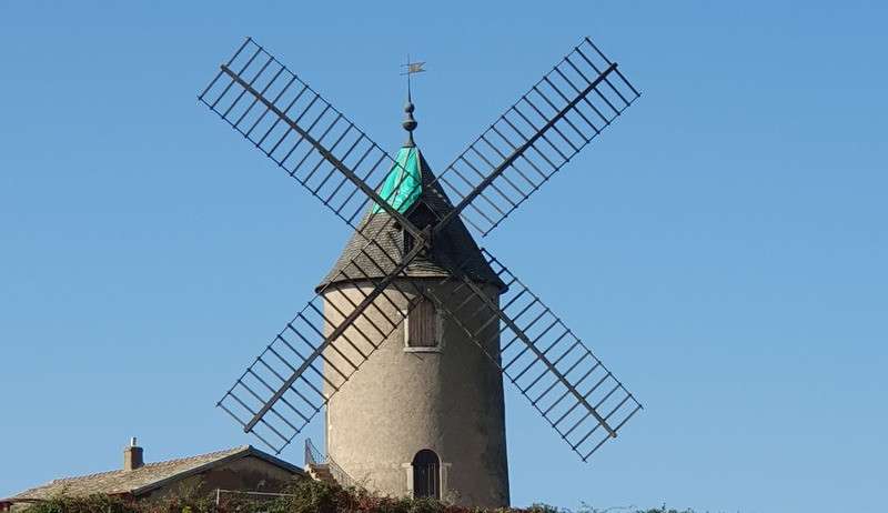 A vendre vignes AOC Moulin à Vent en Bourgogne