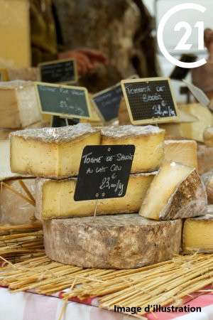 Vente fromagerie crèmerie ville importante 66