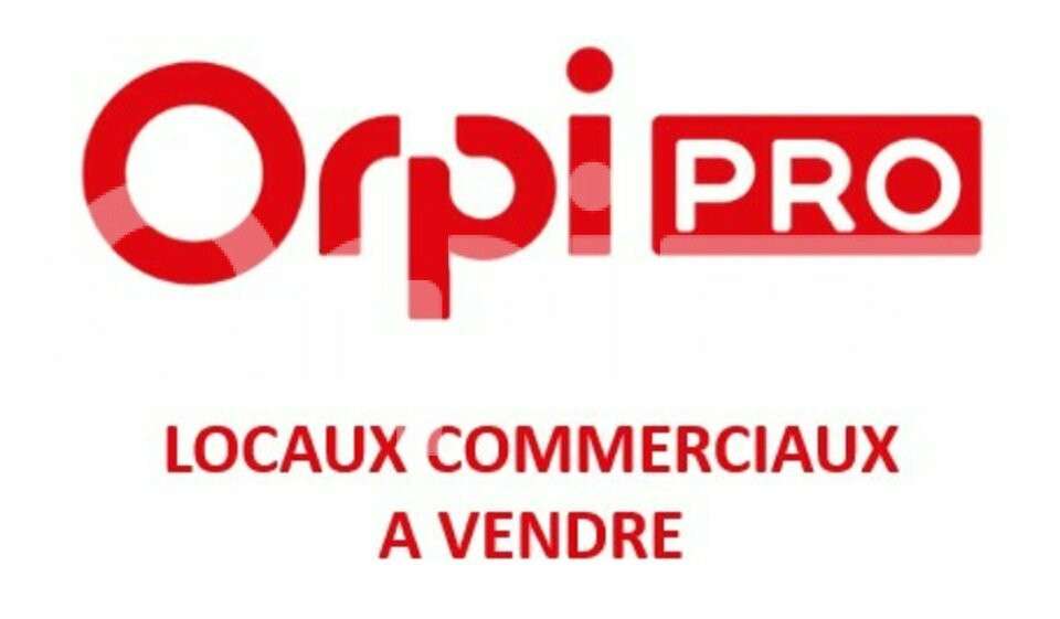 AV locaux commerciaux 50-200m² Clermont l'Hérault