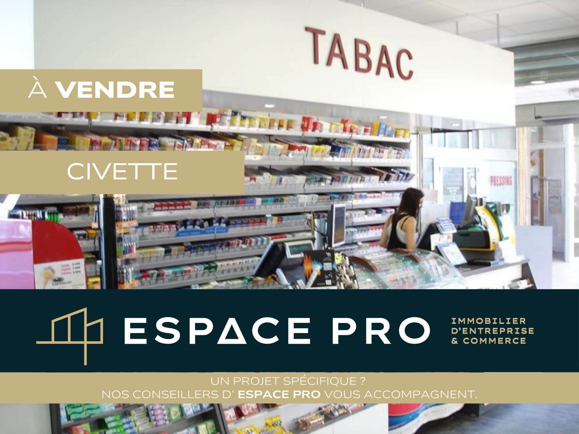 Vente très belle civette dans le Pays d'Auge